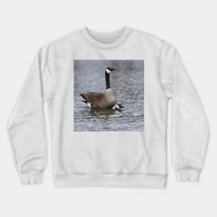 Mating Canada Geese Crewneck Sweatshirt